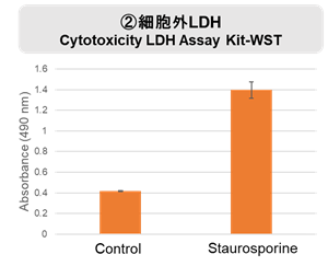 細胞外 LDH