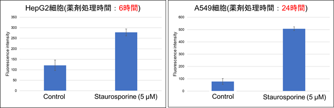 2.薬剤処理時間