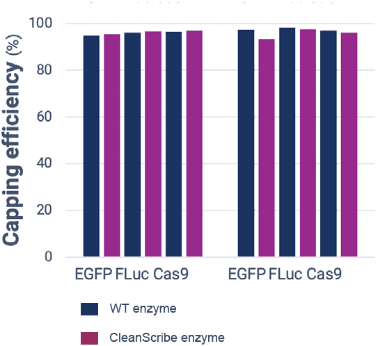 TriLink IVT Enzymes