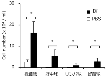 気管支肺胞洗浄液中の細胞数・細胞分画