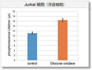 Jurkat細胞（浮遊細胞）