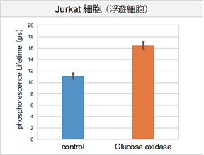 Jurkat細胞（浮遊細胞）