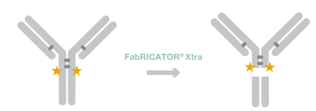 FabRICATOR Xtra