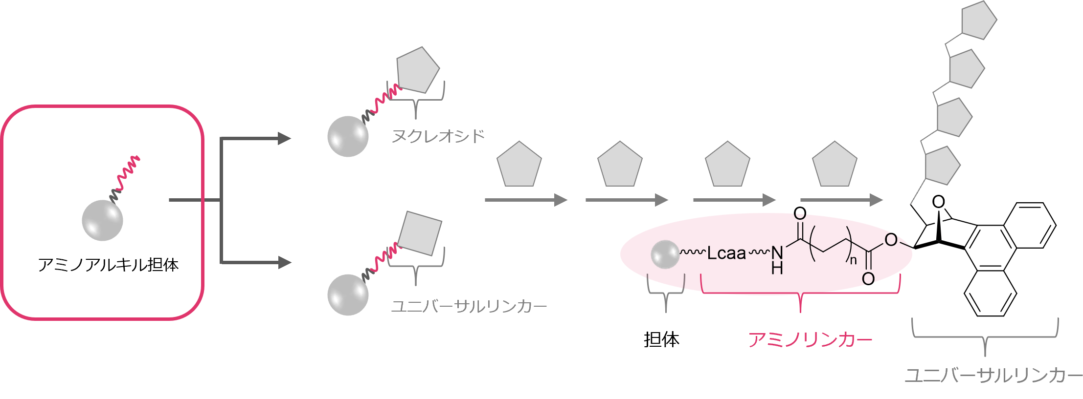 オリゴヌクレオチドの固相合成スキーム