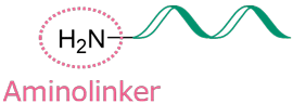 Aminolinker