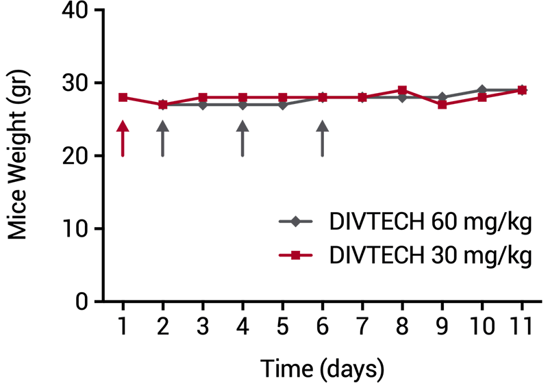 マウスにおける体重モニタリング