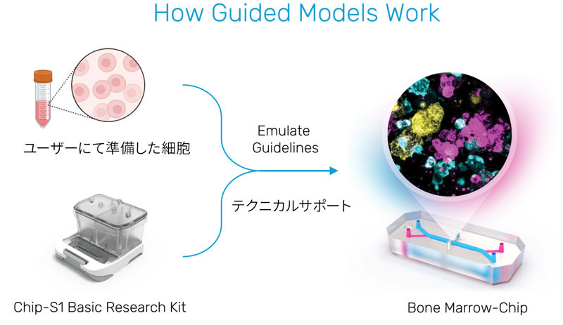 How Guided Models Work