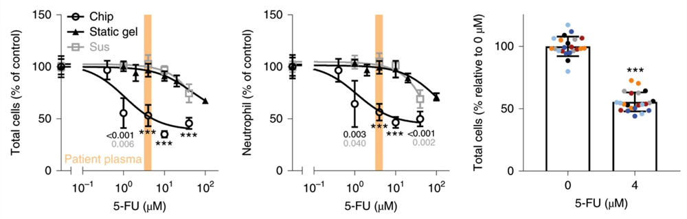 毒性応答の予測