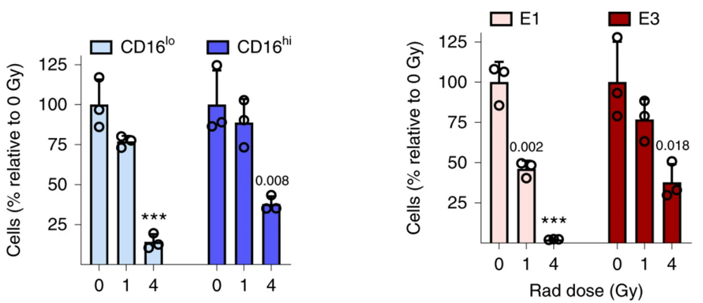 放射線誘発性損傷
