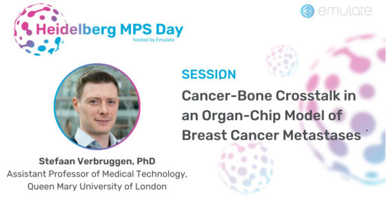 Cancer-Bone Crosstalk in an Organ-Chip Model of Breast Cancer Metastases