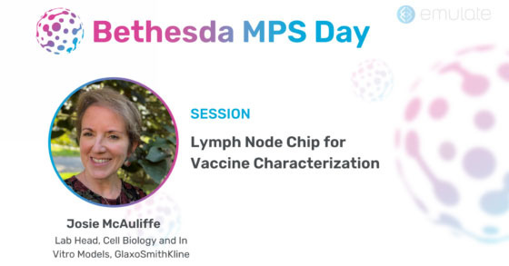 Lymph Node Chip for Vaccine Characterization