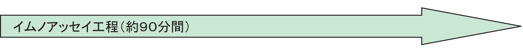イムノアッセイ工程(約90分間)