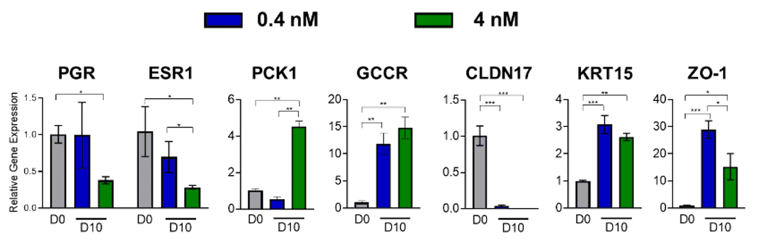 エストロゲンに対する感受性