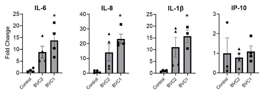 ディスバイオシスの評価
