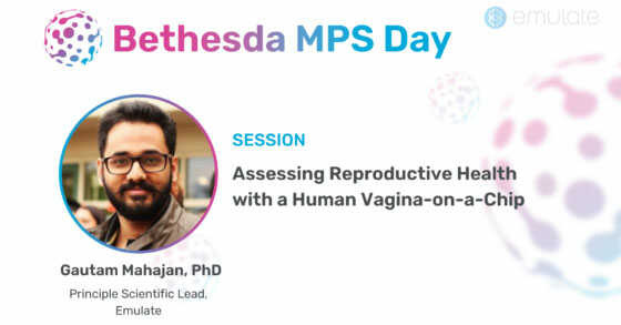 Assessing Reproductive Health with a Human Vagina-on-a-Chip