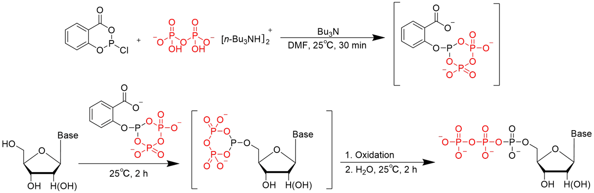 3価のりんを経由した三りん酸化反応