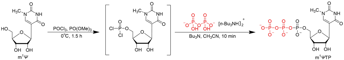 5価のりんを経由した三りん酸化反応