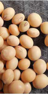 大豆イソフラボン