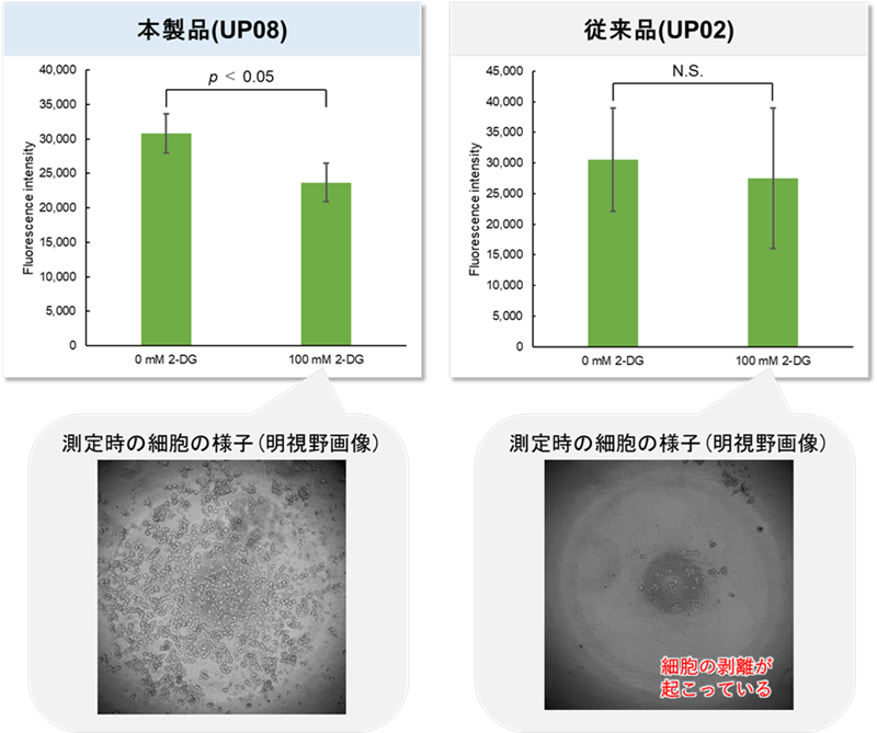 剥離しやすい細胞種でのグルコース取り込みの測定”
