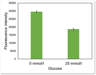 D-グルコース競合によるGlucose Uptake Probeの取り込み阻害