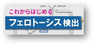 これからはじめるフェトローシス検出