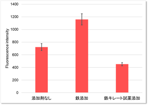 プレートアッセイによるLyso-FerroRedの数値化
