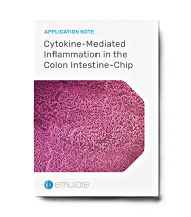 Cytokine-Mediated Inflammation in the Colon Intestine-Chip