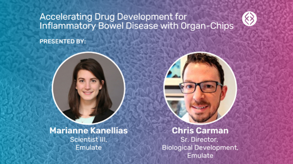 ccelerating Drug Development for Inflammatory Bowel Disease with Organ-Chips