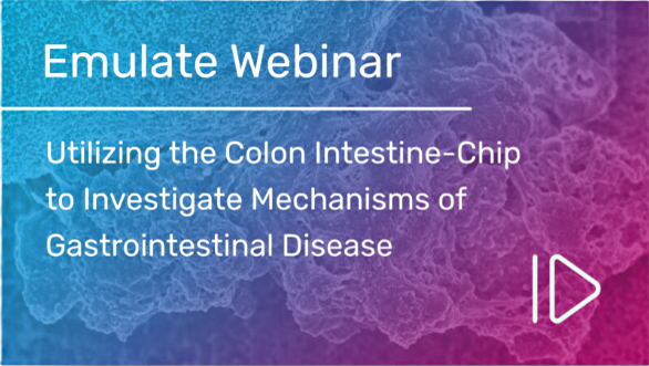 Utilizing the Colon Intestine-Chip to Investigate Mechanisms of Gastrointestinal Disease