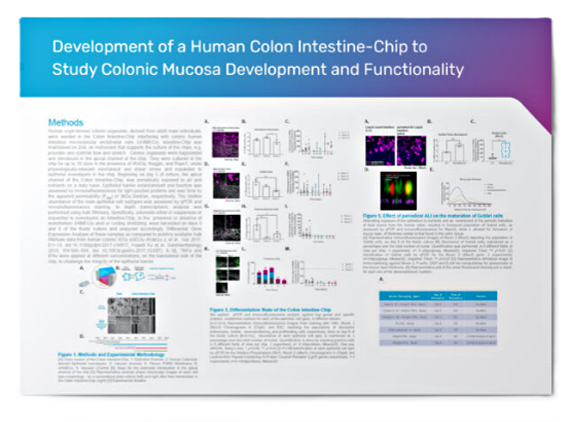 Development of a Human Colon Intestine-Chip to Study Colonic Mucosa Development and Functionality