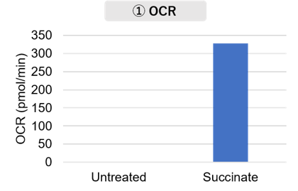 マウス脳から分画したミトコンドリアの活性評価 (OCR)