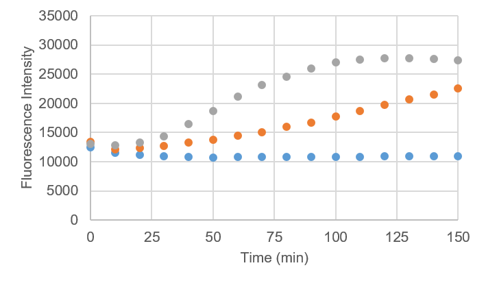 酸素消費量測定（MT17）