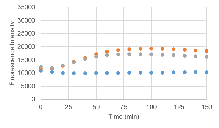 酸素消費量測定（T社製品）