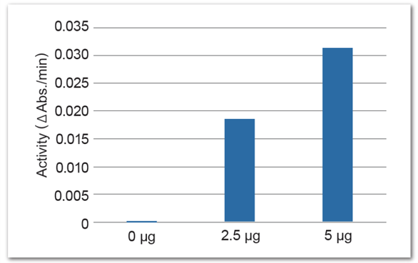 ミトコンドリア量に応じた活性評価