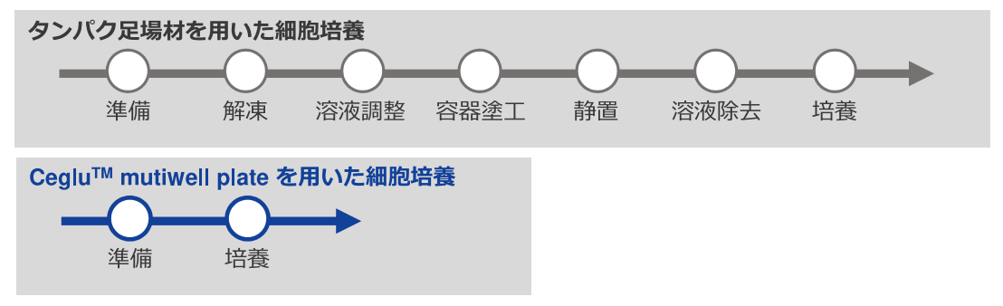 Ceglu™ multiwell plateによるシンプルな細胞培養実験