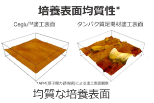 培養表面均質性