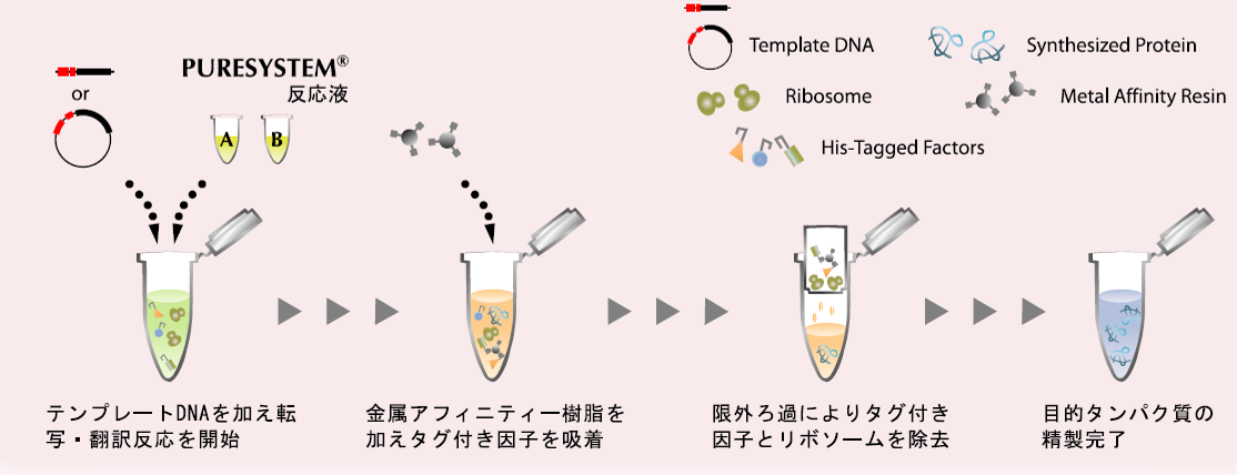 PURESYSTEM® キットを用いた合成・簡易精製