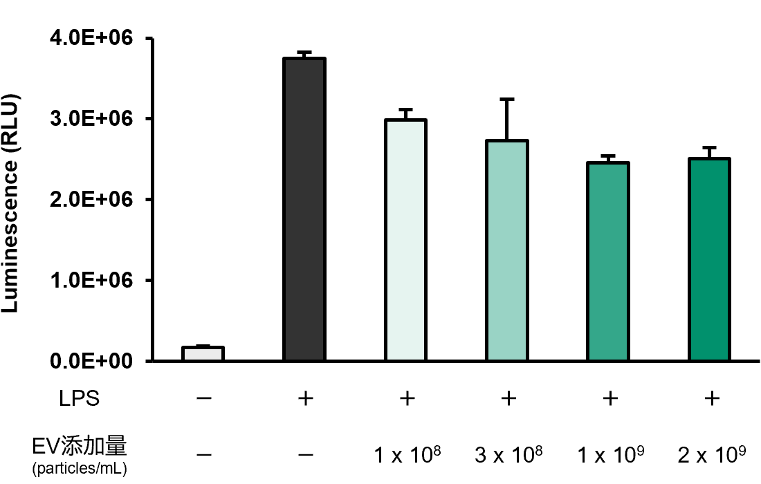 抗炎症活性の評価