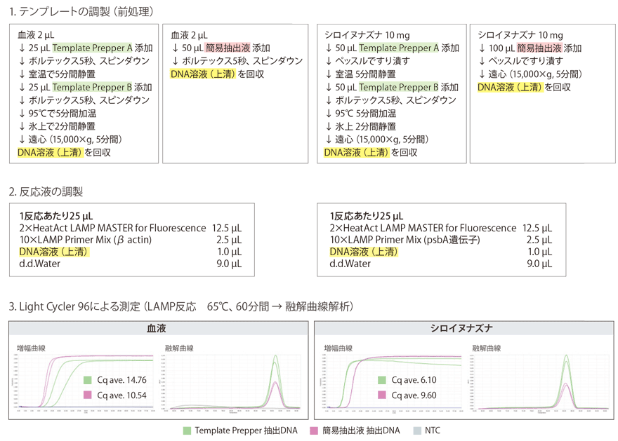 テンプレート、反応液の調製方法、測定結果