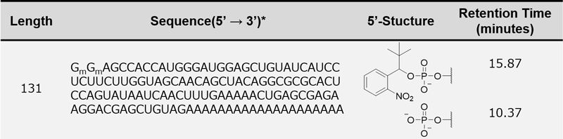 Table 1. List of Chemically synthesized RNA