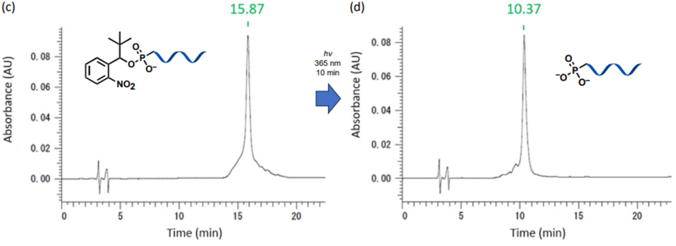 (c)  HPLC profile of RNA after RP-HPLC purification  (d)  HPLC profile of the produced 5’-monophosphate RNA  by UV-irradiation of 5′-Nb-protected RNA