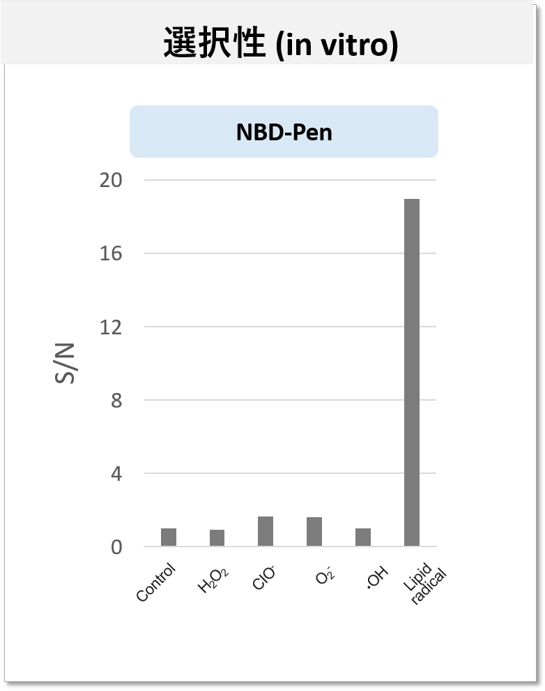 脂質ラジカルへの高い選択性 (NBD-Pen) 