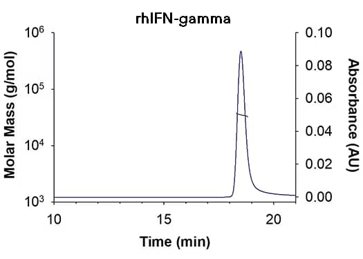 IFN-gamma
