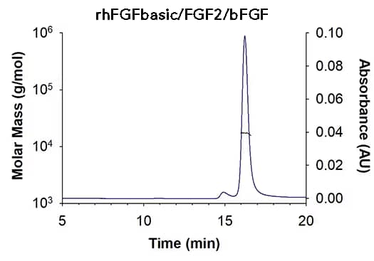 FGF basic/FGF2/bFGF