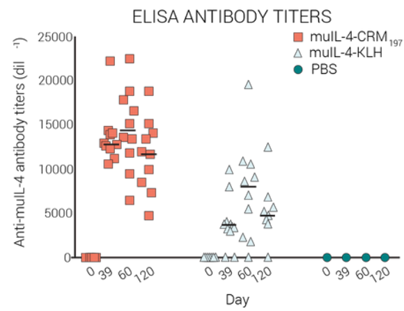 ELISA ANTIBODY TITERS