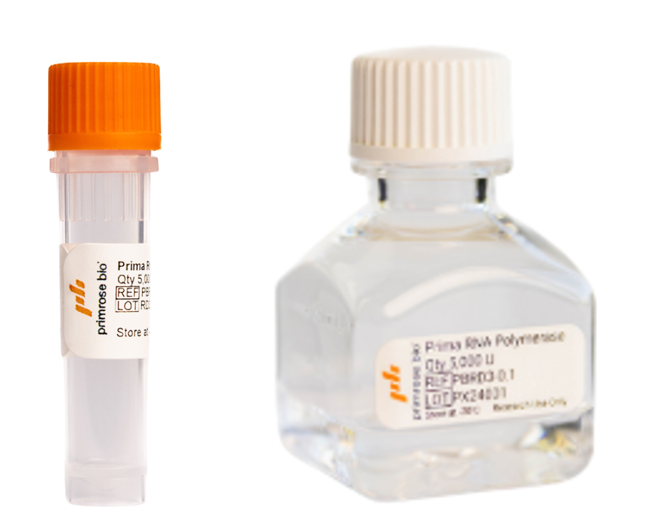 Prima RNApols™ ExTend GMP-Grade