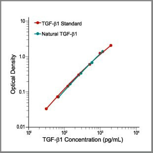 グラフ - 組換えおよび天然のヒトTGF-β1の認識