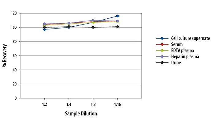 Human IL-6 Quantikine ELISA Kit 希釈直線性試験