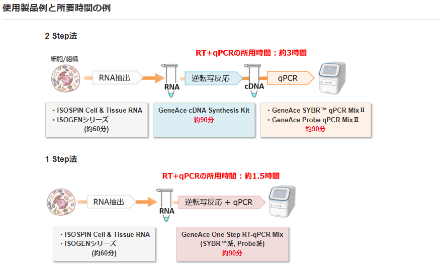 1 Step RT-qPCR と 2 Step RT-qPCRのどちらを選ぶ?