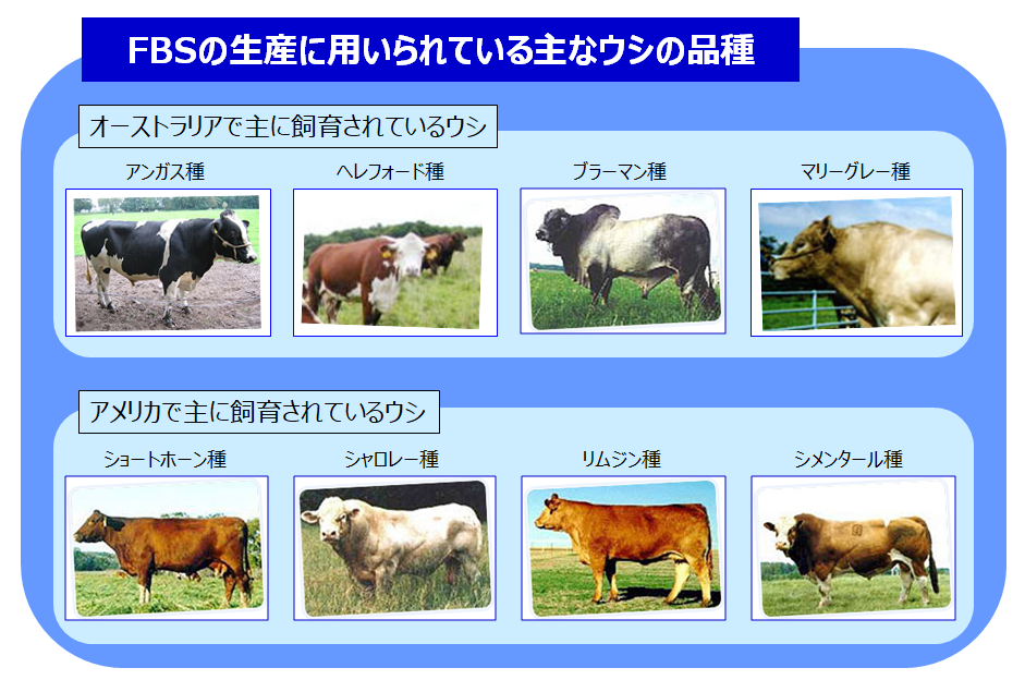 牛胎児血清（FBS）・牛血清　ラインアップ：産地 対応表
